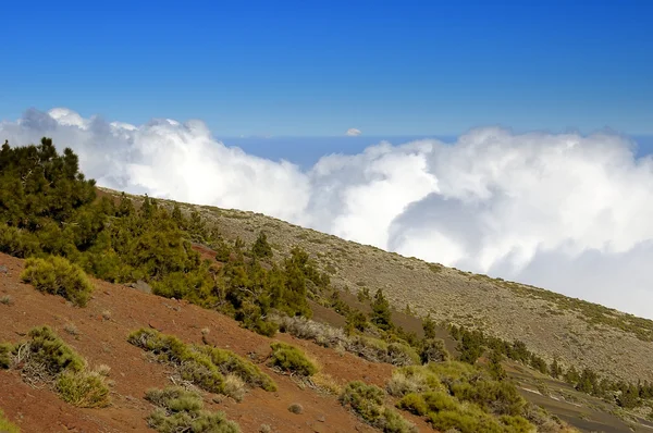 Krajina lávy, národní park teide. Tenerife — Stock fotografie