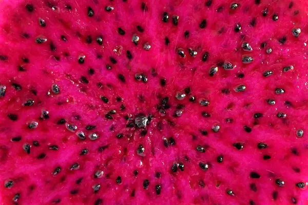 Nahaufnahme einer Piyaya, einer exotischen Frucht — Stockfoto