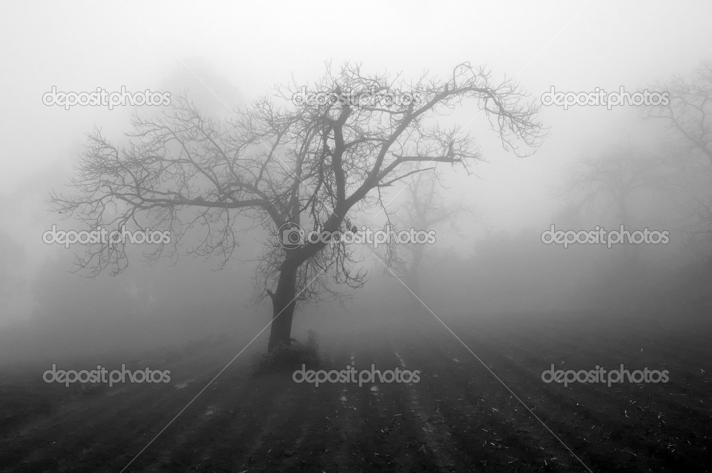 Mystical image, a rainy day