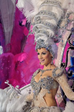 Tenerife, 28 Şubat: Karnaval sırasında t onlookers için dalgalar
