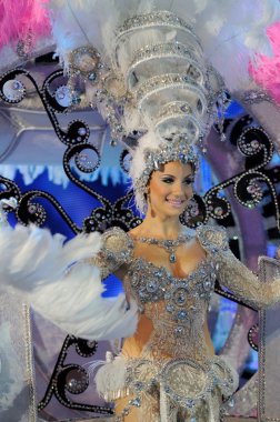 Tenerife, 28 Şubat: Karnaval sırasında t onlookers için dalgalar