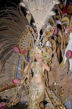 Tenerife, 28 Şubat: Karnaval sırasında t onlookers için dalgalar