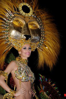 Tenerife, 28 Şubat: Karnaval sırasında t onlookers için dalgalar
