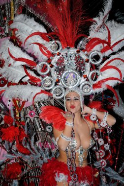 Tenerife, 28 Şubat: Karnaval sırasında t onlookers için dalgalar