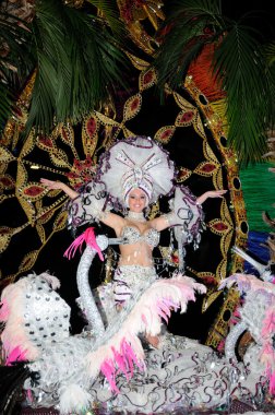 Tenerife, 28 Şubat: Karnaval sırasında t onlookers için dalgalar