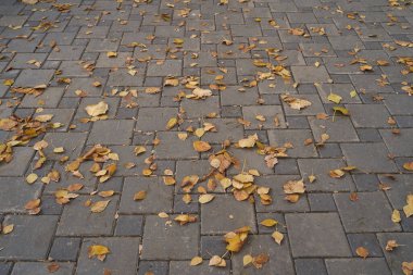 Eski tuğla duvar, kırmızı taş blokların eski dokusu yakın plan