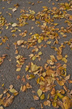 Eski tuğla duvar, kırmızı taş blokların eski dokusu yakın plan