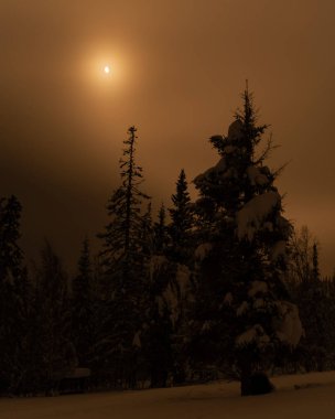 Dağlarda karla kaplı köknar ağaçları olan kış ormanı. Ufukta parlak renkler belirdi. Uzaklardaki dağlarda. Güneşin ilk ışıklarıyla altın bulutlar. Güney Uralları.