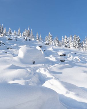 Dağlarda karla kaplı köknar ağaçları olan kış ormanı. Ufukta parlak renkler belirdi. Uzaklardaki dağlarda. Güneşin ilk ışıklarıyla altın bulutlar. Güney Uralları.
