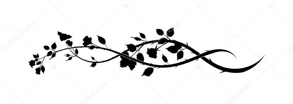 rose black flower on white background. scroll style vector illustration