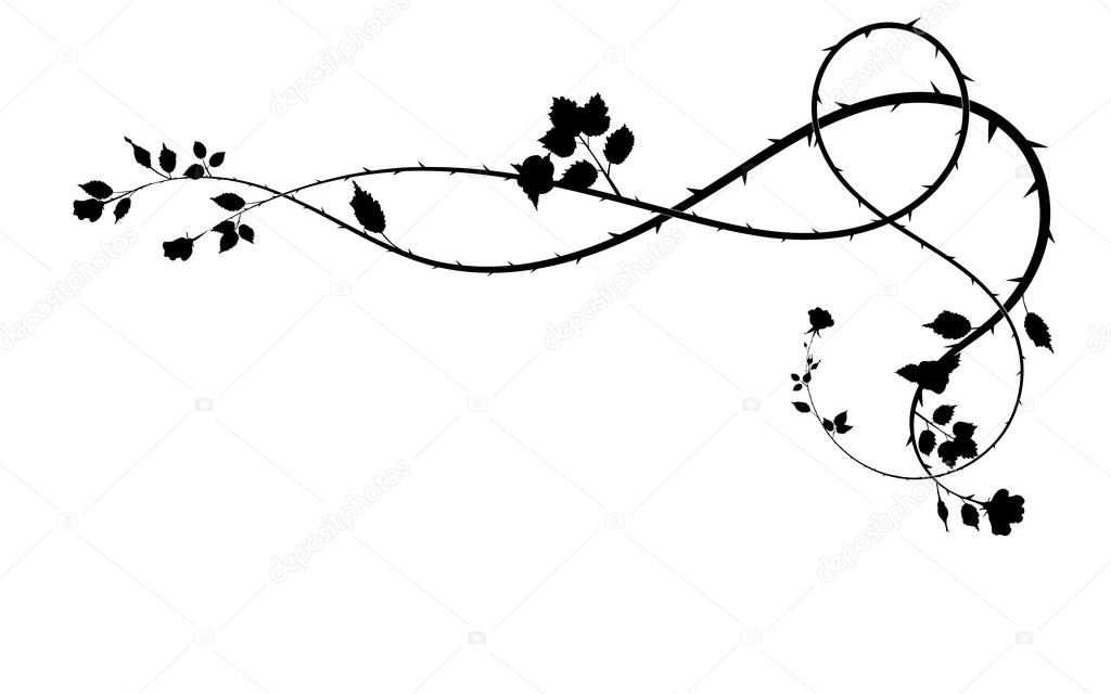 pattern of flowers of a rose and its leaves. scroll style vector illustration