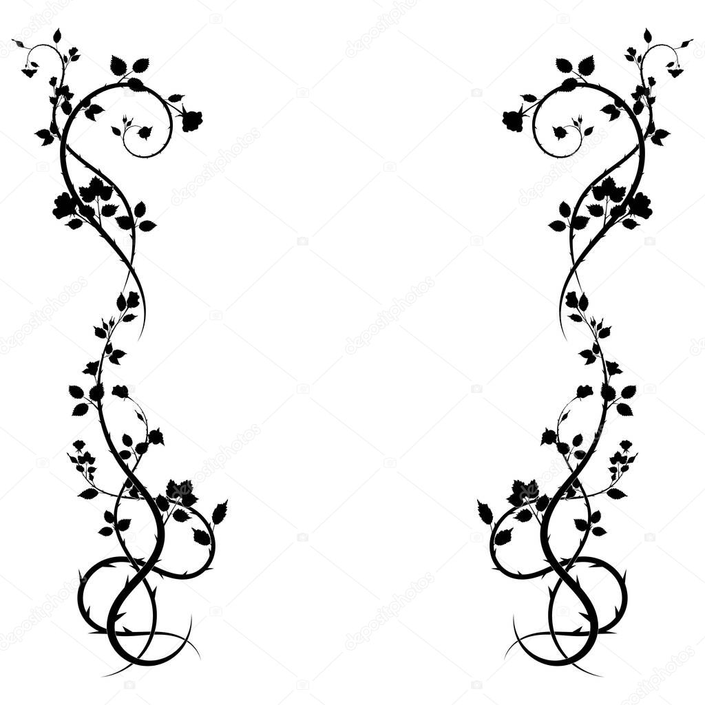 ornament rose climbing plant frame on white background. vector stock image