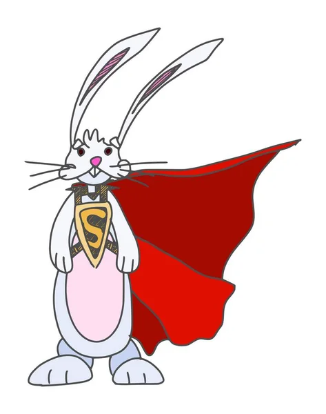 ウサギのスーパーヒーロー面白いキャラクターペット ベクターストック画像 — ストックベクタ