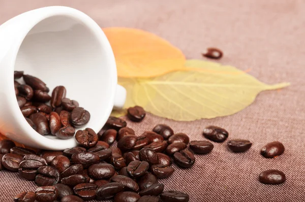 Coffe cup and leaves — Stock Photo, Image