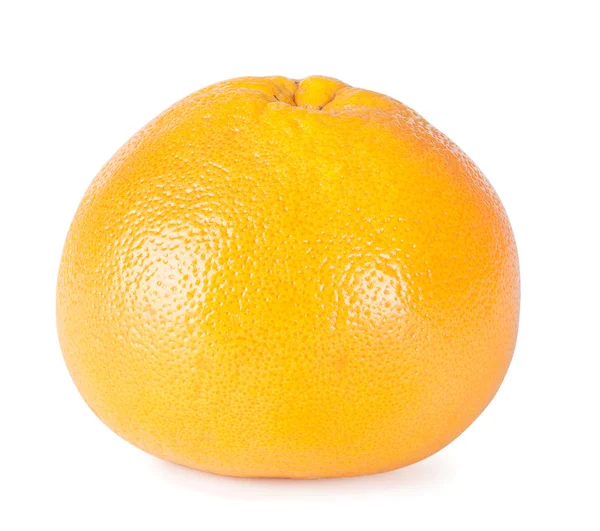 Один спелый грейпфрут — стоковое фото