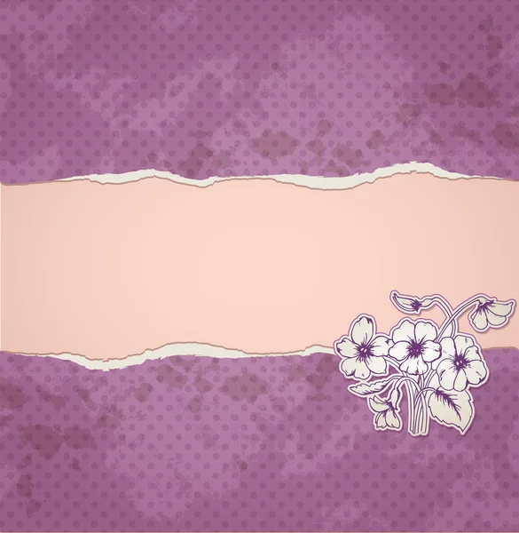 撕的纸和紫罗兰花 — 图库矢量图片
