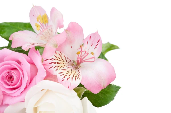 Beyaz arkaplanda çiçekler — Stok fotoğraf