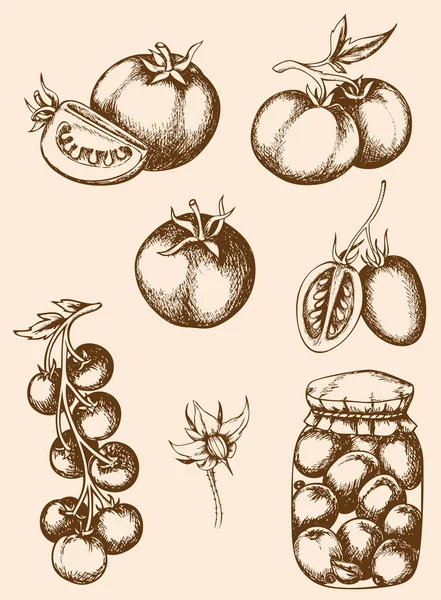 Pomodori vintage — Vettoriale Stock
