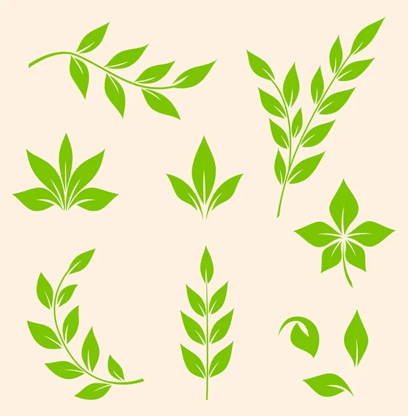 Green leaves — Stock Vector