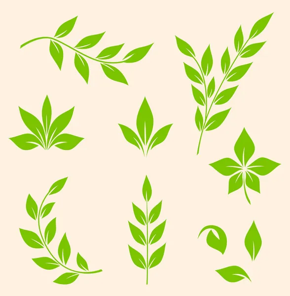 Folhas verdes —  Vetores de Stock