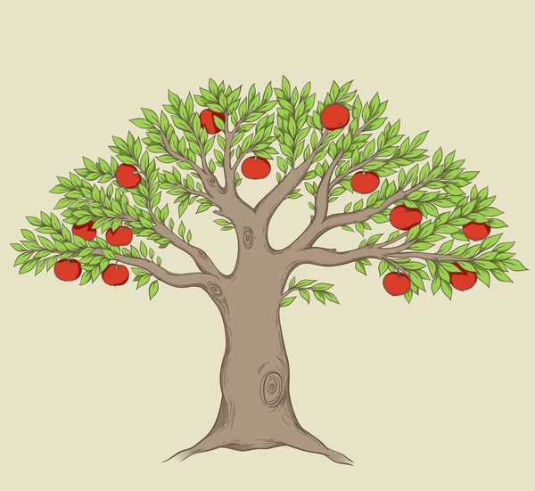 Appelboom — Stockvector