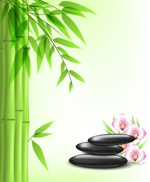Piedras verdes de bambú y spa — Vector de stock