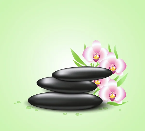 Hintergrund mit Orchideen und Kursteinen — Stockvektor