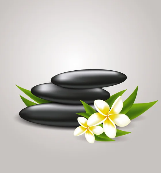 Bloemen en Wellness stones — Stockvector