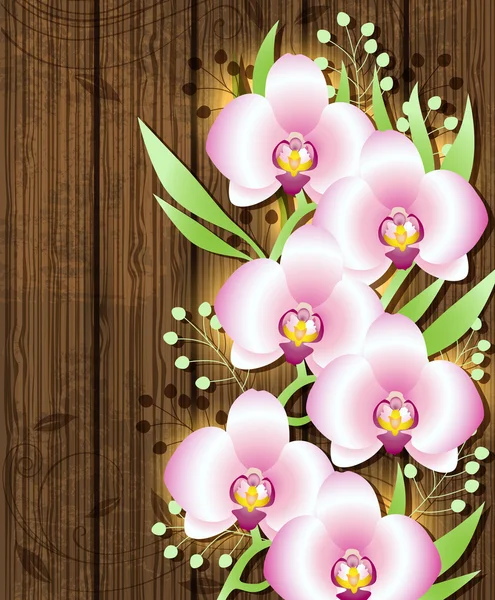 Drewniane tła z różowym storczyki — Wektor stockowy