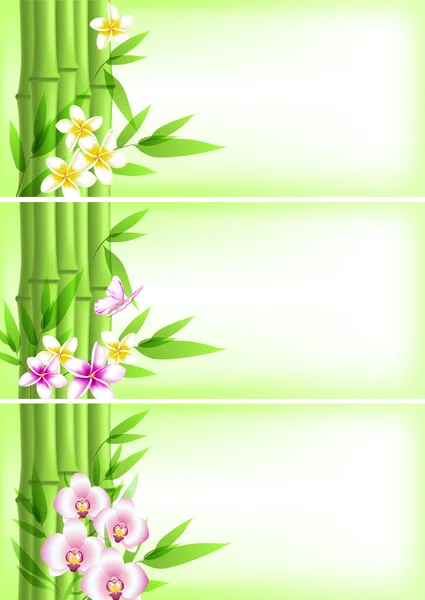 Bannières avec bambou vert et fleurs — Image vectorielle