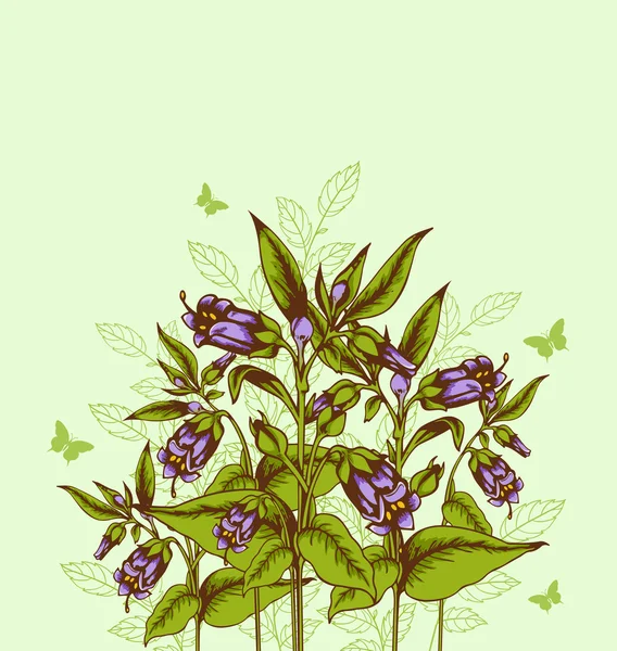 Fundal cu flori de bellflower — Vector de stoc