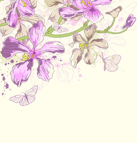 Sfondo con orchidee e farfalle — Vettoriale Stock