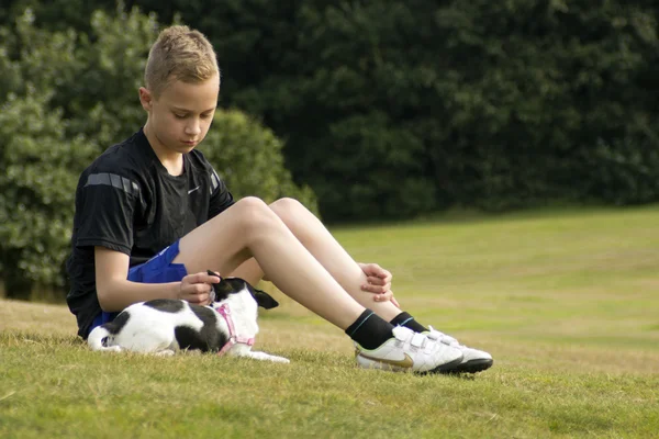 Boy with pet chihuahua — Stock Photo, Image