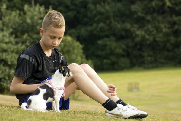 Boy dengan chihuahua hewan peliharaan — Stok Foto