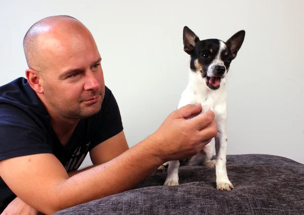 Homem com chihuahua animal de estimação — Fotografia de Stock