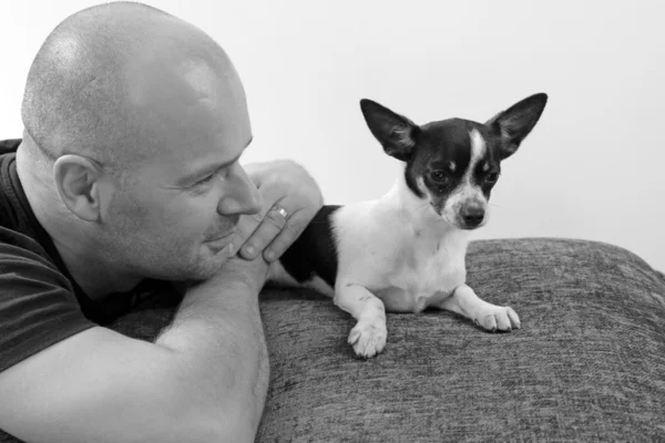 Homme avec chihuahua animal de compagnie — Photo