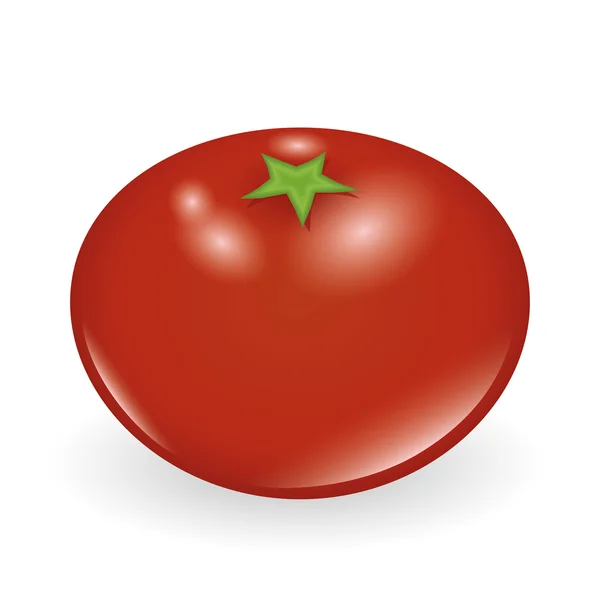 Tomate — Vector de stock