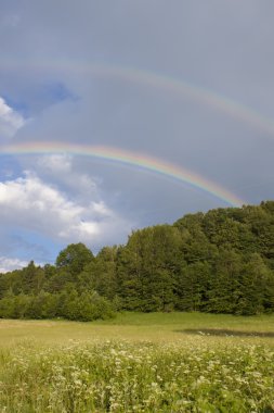 Colorful rainbow