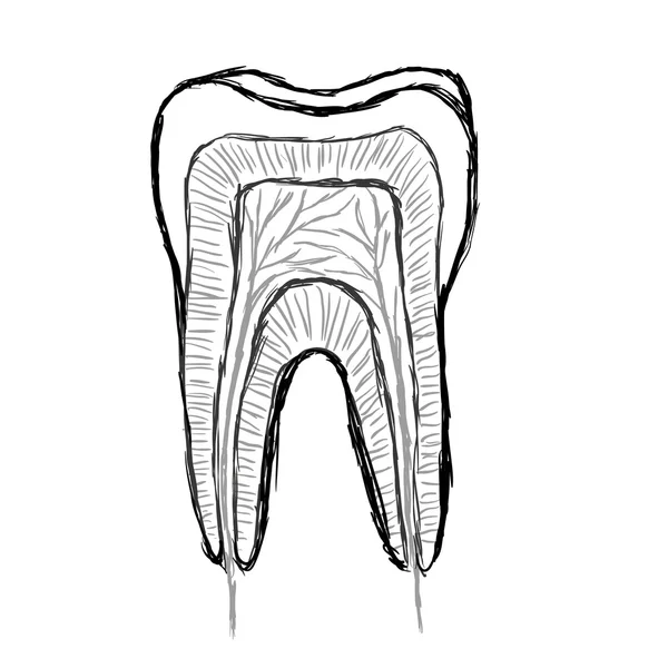 Dente Doodle — Vettoriale Stock