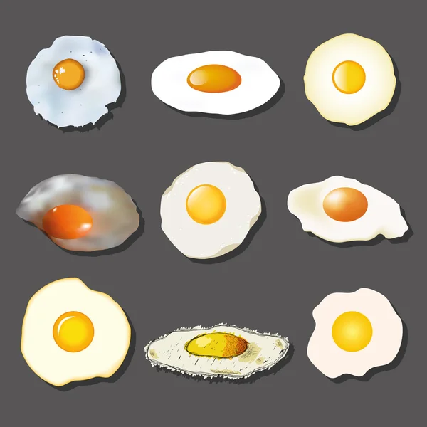 Fried egg collection — Stock Vector