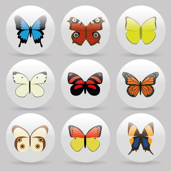 Collection papillon — Image vectorielle