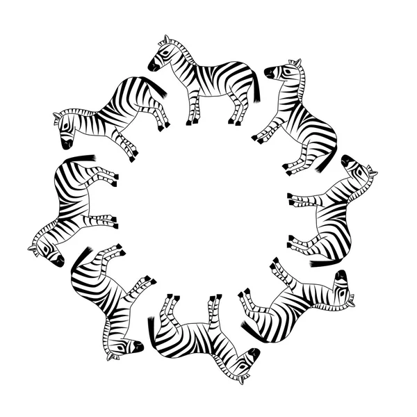 Zebra in cirkel — Stockvector