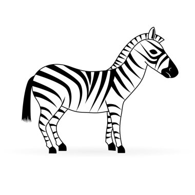 Zebra vektör