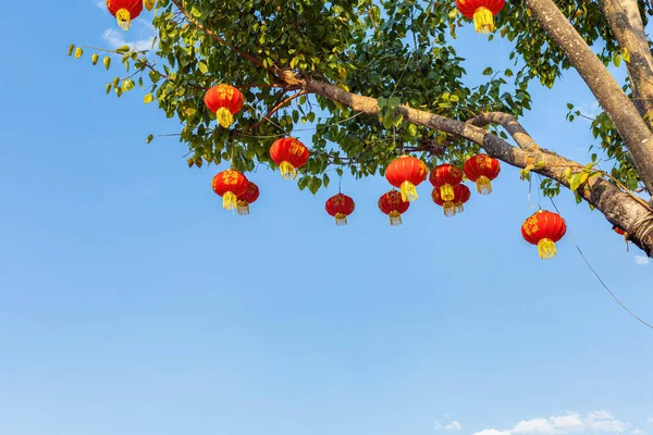 Lanternas Chinesas Penduradas Uma Árvore Copiar Speac Contra Pano Fundo — Fotografia de Stock