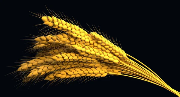 Золотий Жито Або Пшеничний Букет Сільськогосподарська Врожайність Ізольована Природа Рендерингу — стокове фото