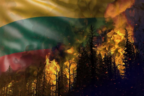 Waldbrandbekämpfungskonzept Naturkatastrophe Höllenfeuer Wald Auf Litauischem Flaggenhintergrund Darstellung Der Natur — Stockfoto