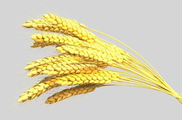 Gold Rye Wheat Sheaf Rural Harvest Isolated Cgi Nature Rendering — Stock Photo, Image