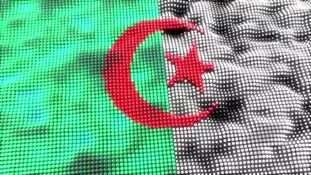 Algeria Web Concept Flag Loop — Video Stock
