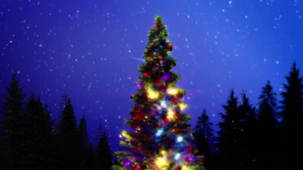 Vánoční Borovice Nočních Lesích Oblohou Sněhem Padající Hvězdou — Stock video