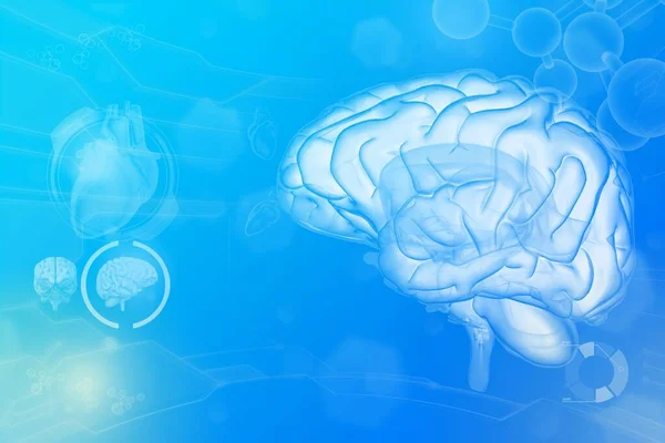 Medyczna Ilustracja Ludzki Mózg Koncepcja Rozwoju Neurochirurgii Szczegółowe Tło Lub — Zdjęcie stockowe